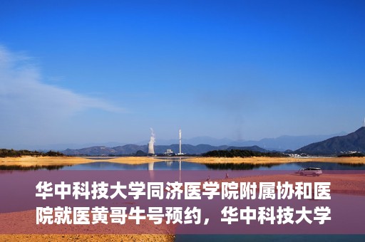 华中科技大学同济医学院附属协和医院就医黄哥牛号预约，华中科技大学同济医学院附属协和医院就医黄哥牛号预约攻略解析