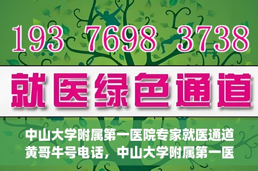 中山大学附属第一医院专家就医通道黄哥牛号电话，中山大学附属第一医院专家就医通道热线，黄哥牛号电话解读与预约攻略
