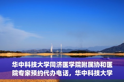 华中科技大学同济医学院附属协和医院专家预约代办电话，华中科技大学同济医学院附属协和医院专家预约代办热线服务解析
