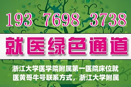 浙江大学医学院附属第一医院床位就医黄哥牛号联系方式，浙江大学附属第一医院床位就医指南，黄哥牛号联系方式揭秘