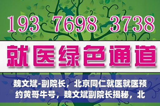 魏文斌-副院长，北京同仁就医就医预约黄哥牛号，魏文斌副院长揭秘，北京同仁医院就医预约的黄哥牛号攻略