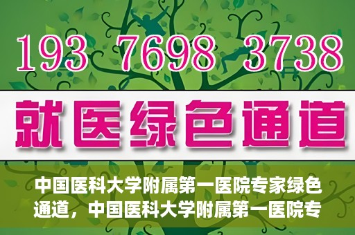 中国医科大学附属第一医院专家绿色通道，中国医科大学附属第一医院专家绿色通道，高效就医体验，专业医疗守护