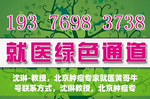 沈琳-教授，北京肿瘤专家就医黄哥牛号联系方式，沈琳教授，北京肿瘤专家就医联系方式及黄哥牛号揭秘