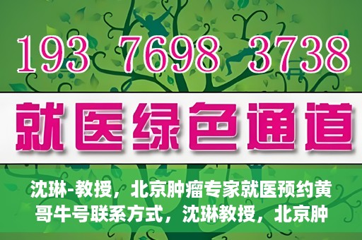 沈琳-教授，北京肿瘤专家就医预约黄哥牛号联系方式，沈琳教授，北京肿瘤专家预约攻略及黄哥牛号联系方式揭秘