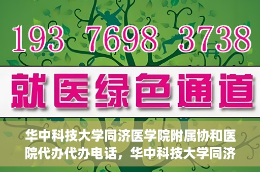华中科技大学同济医学院附属协和医院代办代办电话，华中科技大学同济医学院附属协和医院代办服务热线揭秘