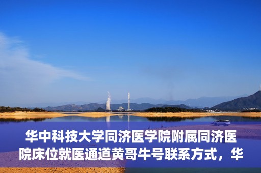 华中科技大学同济医学院附属同济医院床位就医通道黄哥牛号联系方式，华中科技大学同济医院床位就医通道，黄哥牛号联系方式揭秘