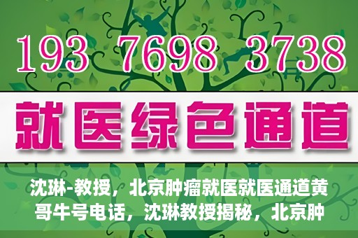 沈琳-教授，北京肿瘤就医就医通道黄哥牛号电话，沈琳教授揭秘，北京肿瘤就医通道牛号电话与就医攻略