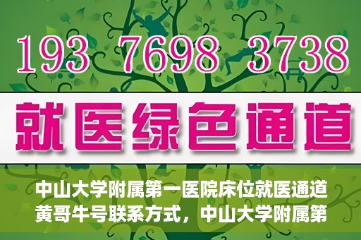 中山大学附属第一医院床位就医通道黄哥牛号联系方式，中山大学附属第一医院床位就医通道，黄哥牛号联系方式全解析
