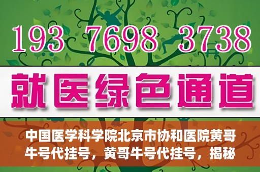 中国医学科学院北京市协和医院黄哥牛号代挂号，黄哥牛号代挂号，揭秘中国医学科学院北京市协和医院挂号背后的故事