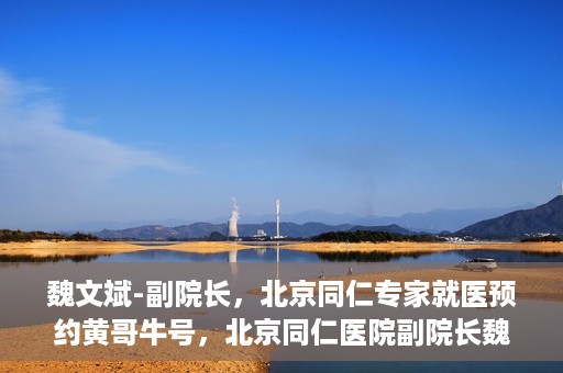 魏文斌-副院长，北京同仁专家就医预约黄哥牛号，北京同仁医院副院长魏文斌，专家预约背后的故事与黄哥牛号揭秘