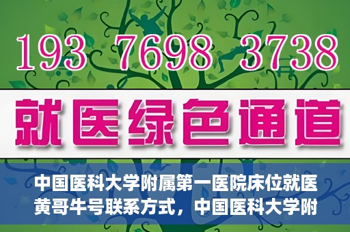 中国医科大学附属第一医院床位就医黄哥牛号联系方式，中国医科大学附属第一医院床位就医信息，黄哥牛号联系方式揭秘