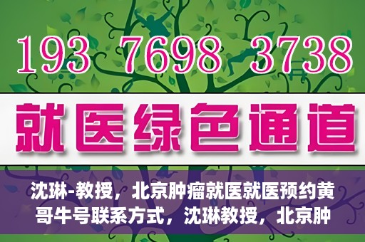 沈琳-教授，北京肿瘤就医就医预约黄哥牛号联系方式，沈琳教授，北京肿瘤就医预约秘籍与黄哥牛号联系方式揭秘