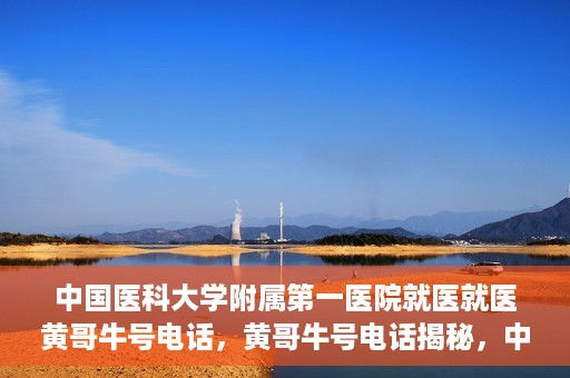 中国医科大学附属第一医院就医就医黄哥牛号电话，黄哥牛号电话揭秘，中国医科大学附属第一医院就医指南与就医体验分享