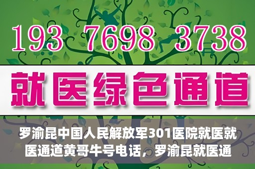 罗渝昆中国人民解放军301医院就医就医通道黄哥牛号电话，罗渝昆就医通道揭秘，中国人民解放军301医院黄哥牛号电话的背后故事