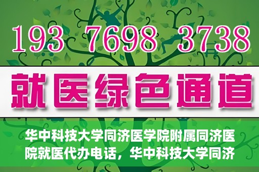 华中科技大学同济医学院附属同济医院就医代办电话，华中科技大学同济医学院附属同济医院就医代办服务热线介绍