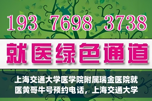 上海交通大学医学院附属瑞金医院就医黄哥牛号预约电话，上海交通大学医学院附属瑞金医院黄哥牛号预约电话详解，轻松就医新选择