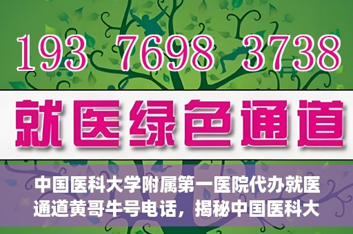 中国医科大学附属第一医院代办就医通道黄哥牛号电话，揭秘中国医科大学附属第一医院就医通道代办服务，黄哥牛号电话全解析