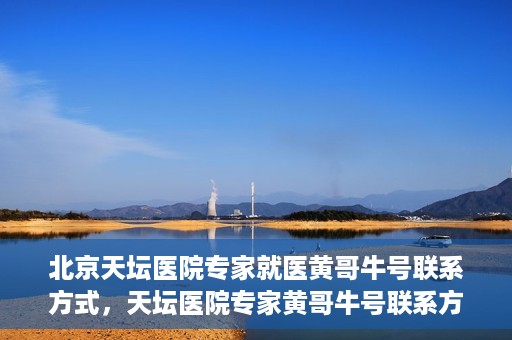 北京天坛医院专家就医黄哥牛号联系方式，天坛医院专家黄哥牛号联系方式揭秘，权威医疗资源的深度解读