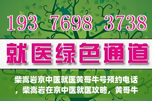 柴嵩岩京中医就医黄哥牛号预约电话，柴嵩岩在京中医就医攻略，黄哥牛号预约电话全解析