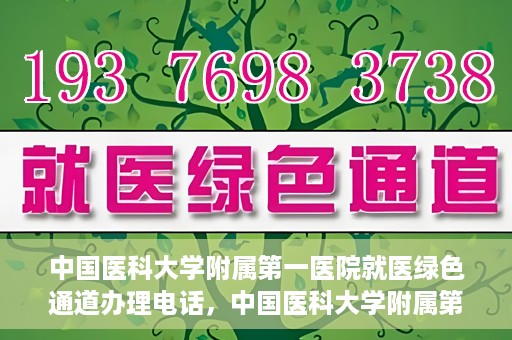 中国医科大学附属第一医院就医绿色通道办理电话，中国医科大学附属第一医院就医绿色通道服务热线及办理流程详解