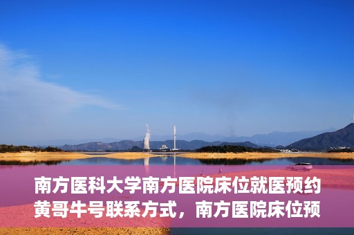 南方医科大学南方医院床位就医预约黄哥牛号联系方式，南方医院床位预约指南，黄哥牛号联系方式揭秘