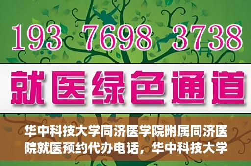 华中科技大学同济医学院附属同济医院就医预约代办电话，华中科技大学同济医学院附属同济医院就医预约代办服务热线