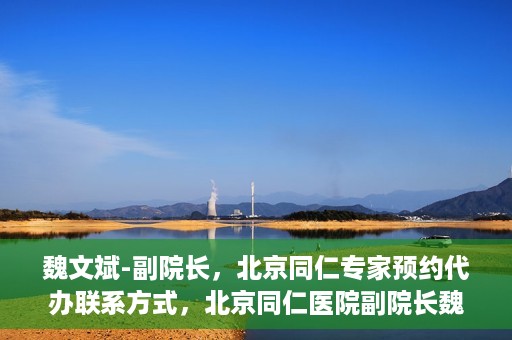 魏文斌-副院长，北京同仁专家预约代办联系方式，北京同仁医院副院长魏文斌专家预约联系方式及代办服务指南