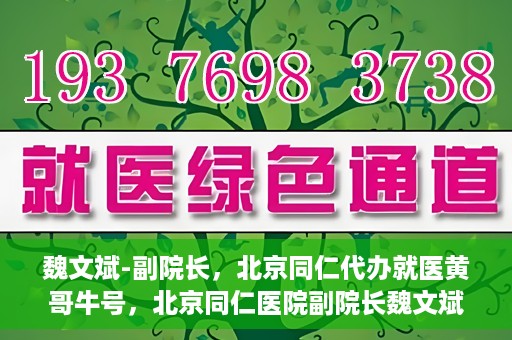 魏文斌-副院长，北京同仁代办就医黄哥牛号，北京同仁医院副院长魏文斌，就医黄哥牛号的背后故事
