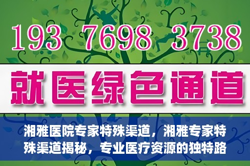 湘雅医院专家特殊渠道，湘雅专家特殊渠道揭秘，专业医疗资源的独特路径探索