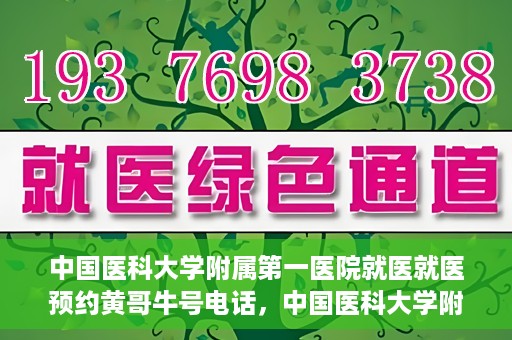 中国医科大学附属第一医院就医就医预约黄哥牛号电话，中国医科大学附属第一医院就医预约电话揭秘，黄哥牛号预约专线亮相