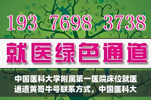 中国医科大学附属第一医院床位就医通道黄哥牛号联系方式，中国医科大学附属第一医院床位就医通道，黄哥牛号联系方式全解析