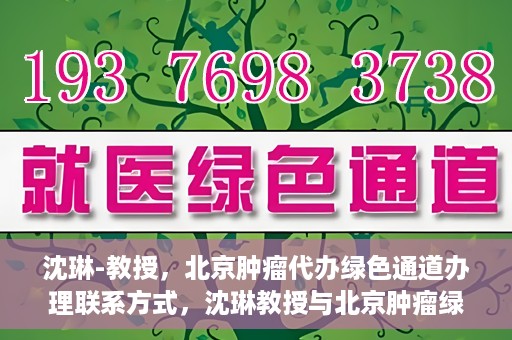 沈琳-教授，北京肿瘤代办绿色通道办理联系方式，沈琳教授与北京肿瘤绿色通道，便捷办理联系方式揭秘