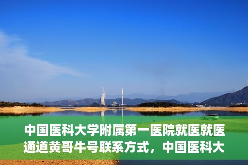 中国医科大学附属第一医院就医就医通道黄哥牛号联系方式，中国医科大学附属第一医院就医通道，黄哥牛号联系方式全解析