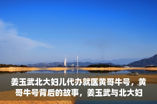 姜玉武北大妇儿代办就医黄哥牛号，黄哥牛号背后的故事，姜玉武与北大妇儿的就医代办之路