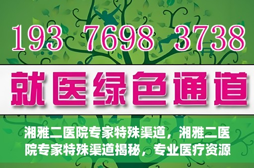 湘雅二医院专家特殊渠道，湘雅二医院专家特殊渠道揭秘，专业医疗资源的独特通道探索