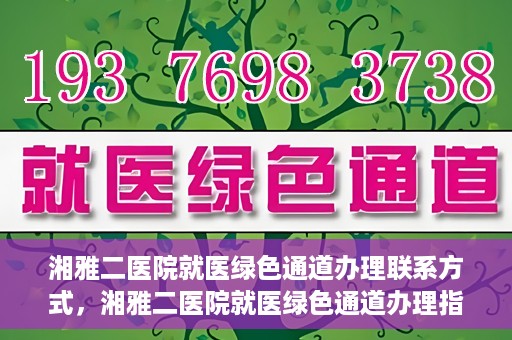 湘雅二医院就医绿色通道办理联系方式，湘雅二医院就医绿色通道办理指南，快速联系方式与办理流程解析