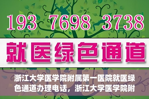 浙江大学医学院附属第一医院就医绿色通道办理电话，浙江大学医学院附属第一医院就医绿色通道服务热线电话解析及办理指南