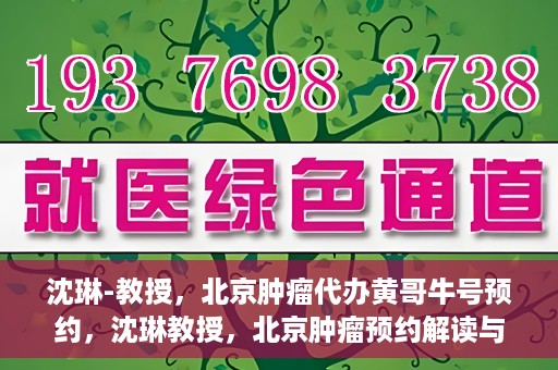 沈琳-教授，北京肿瘤代办黄哥牛号预约，沈琳教授，北京肿瘤预约解读与黄哥牛号背后的故事