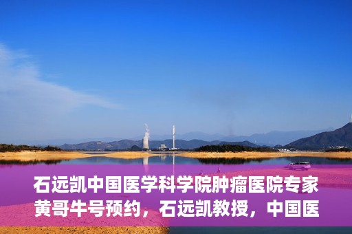 石远凯中国医学科学院肿瘤医院专家黄哥牛号预约，石远凯教授，中国医学科学院肿瘤医院专家黄哥的号源预约攻略