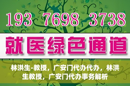 林洪生-教授，广安门代办代办，林洪生教授，广安门代办事务解析