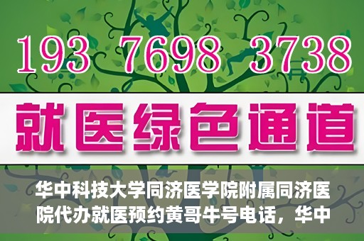 华中科技大学同济医学院附属同济医院代办就医预约黄哥牛号电话，华中科技大学同济医院预约就医黄哥牛号电话代办服务介绍
