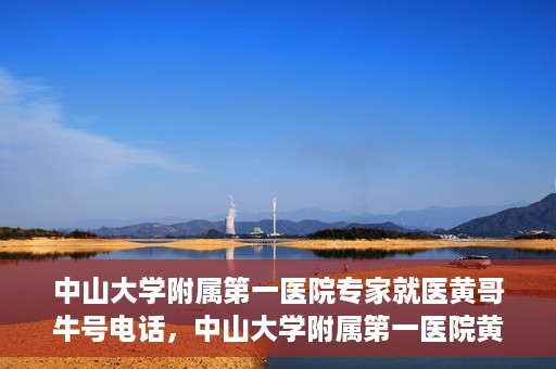 中山大学附属第一医院专家就医黄哥牛号电话，中山大学附属第一医院黄哥牛号专家就医电话揭秘