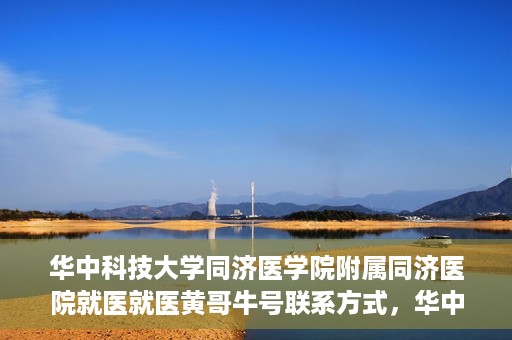 华中科技大学同济医学院附属同济医院就医就医黄哥牛号联系方式，华中科技大学同济医院就医指南，黄哥牛号联系方式揭秘