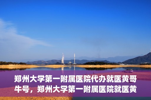 郑州大学第一附属医院代办就医黄哥牛号，郑州大学第一附属医院就医黄哥牛号代办服务解析