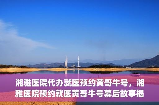 湘雅医院代办就医预约黄哥牛号，湘雅医院预约就医黄哥牛号幕后故事揭秘