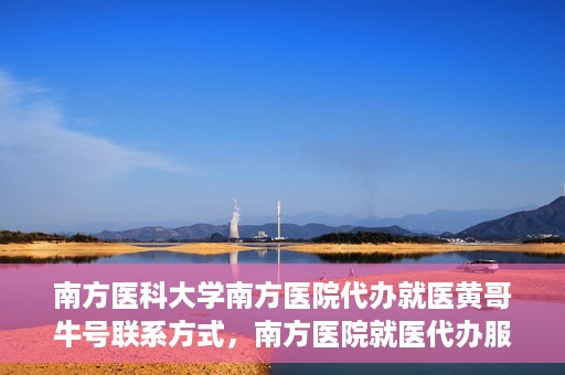南方医科大学南方医院代办就医黄哥牛号联系方式，南方医院就医代办服务联系指南，黄哥牛号联系方式揭秘