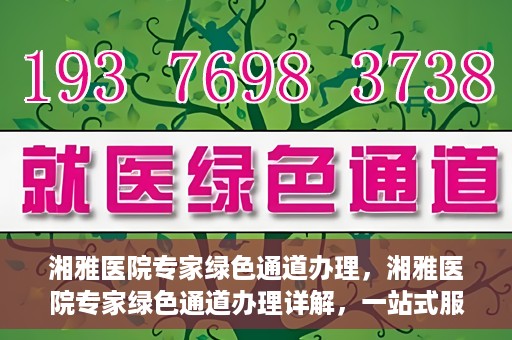 湘雅医院专家绿色通道办理，湘雅医院专家绿色通道办理详解，一站式服务助力高效就医体验