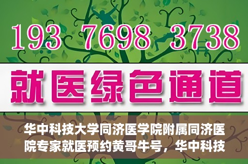 华中科技大学同济医学院附属同济医院专家就医预约黄哥牛号，华中科技大学同济医院专家黄哥牛号预约就医指南
