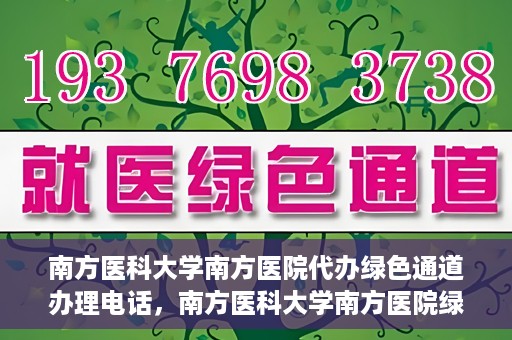 南方医科大学南方医院代办绿色通道办理电话，南方医科大学南方医院绿色通道办理指南及联系电话揭秘