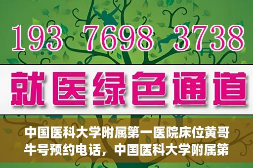 中国医科大学附属第一医院床位黄哥牛号预约电话，中国医科大学附属第一医院床位预约电话及黄哥牛号预约攻略